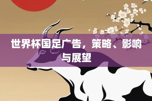 世界杯国足广告，策略、影响与展望