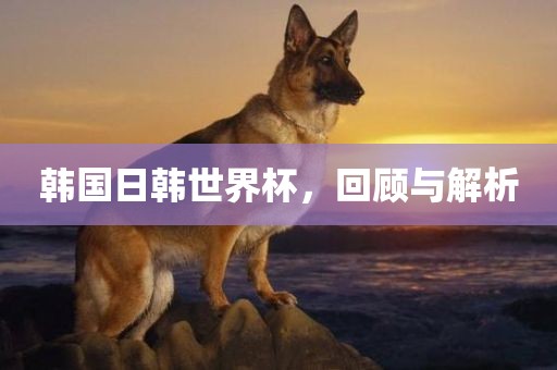 韩国日韩世界杯，回顾与解析