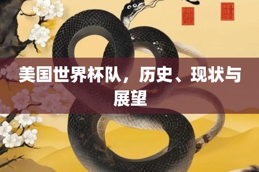 美国世界杯队，历史、现状与展望