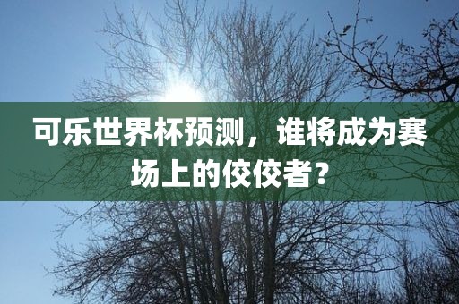 可乐世界杯预测，谁将成为赛场上的佼佼者？