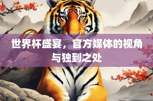 世界杯盛宴，官方媒体的视角与独到之处