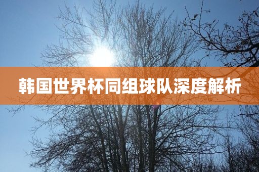 韩国世界杯同组球队深度解析