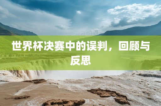 世界杯决赛中的误判，回顾与反思