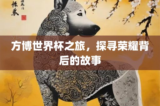 方博世界杯之旅，探寻荣耀背后的故事