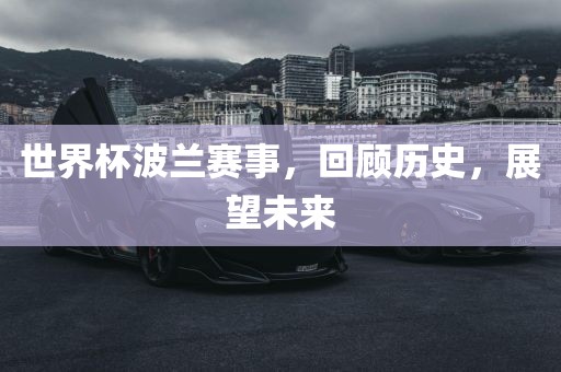 世界杯波兰赛事，回顾历史，展望未来