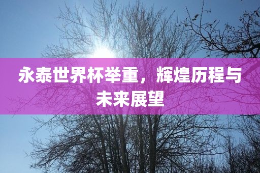 永泰世界杯举重，辉煌历程与未来展望