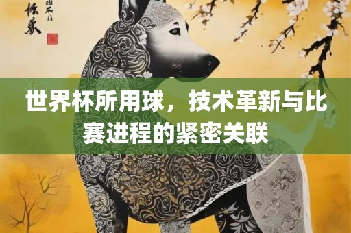 世界杯所用球，技术革新与比赛进程的紧密关联