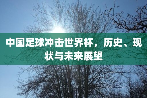 中国足球冲击世界杯，历史、现状与未来展望