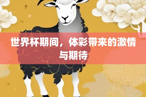 世界杯期间，体彩带来的激情与期待