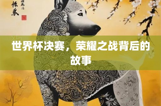 世界杯决赛，荣耀之战背后的故事