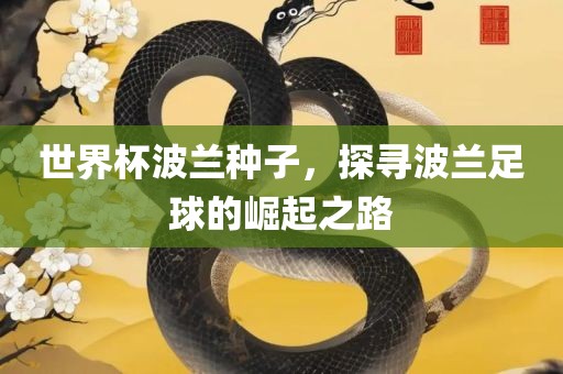 世界杯波兰种子，探寻波兰足球的崛起之路
