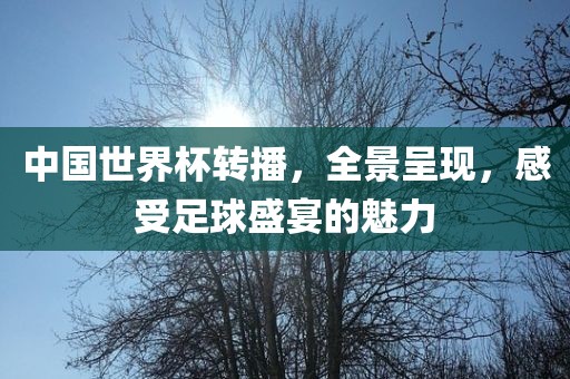 中国世界杯转播，全景呈现，感受足球盛宴的魅力