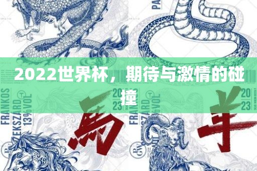 2022世界杯，期待与激情的碰撞