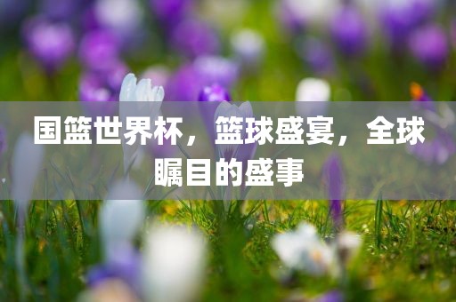 国篮世界杯，篮球盛宴，全球瞩目的盛事