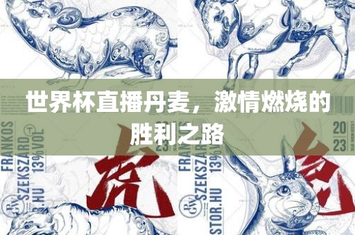 世界杯直播丹麦，激情燃烧的胜利之路