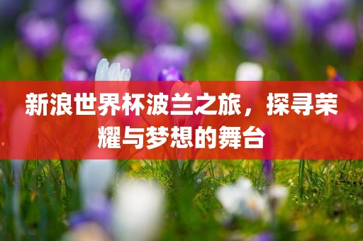 新浪世界杯波兰之旅，探寻荣耀与梦想的舞台