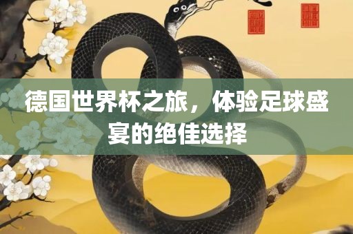德国世界杯之旅，体验足球盛宴的绝佳选择