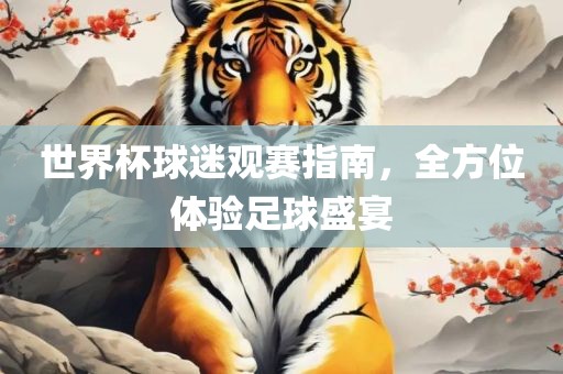 世界杯球迷观赛指南，全方位体验足球盛宴