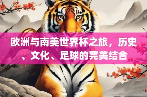 欧洲与南美世界杯之旅，历史、文化、足球的完美结合