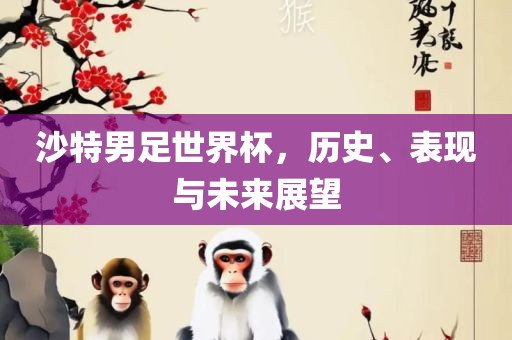沙特男足世界杯，历史、表现与未来展望