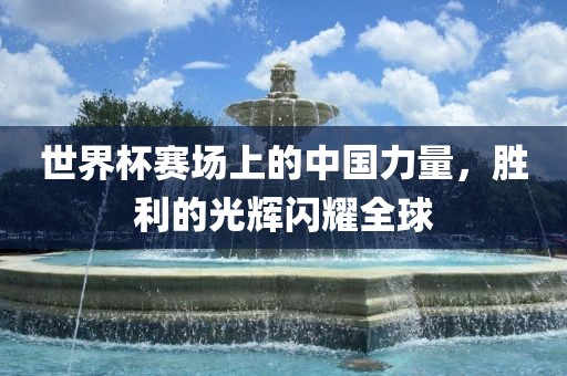 世界杯赛场上的中国力量，胜利的光辉闪耀全球眉山市正发家政服务有限公司