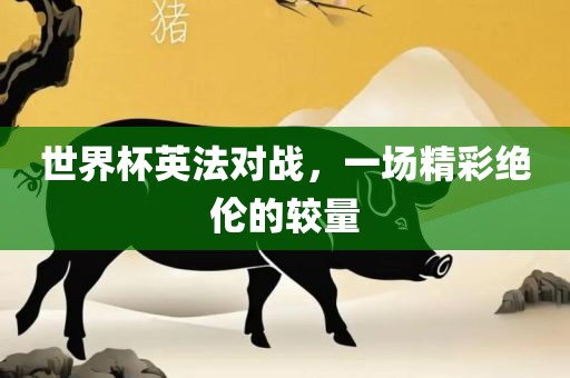 眉山市正发家政服务有限公司世界杯英法对战，一场精彩绝伦的较量