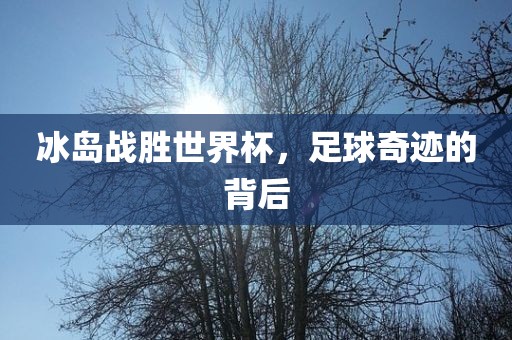 冰岛战胜世界杯，眉山市正发家政服务有限公司足球奇迹的背后