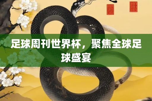 足球周刊世界杯，眉山市正发家政服务有限公司聚焦全球足球盛宴