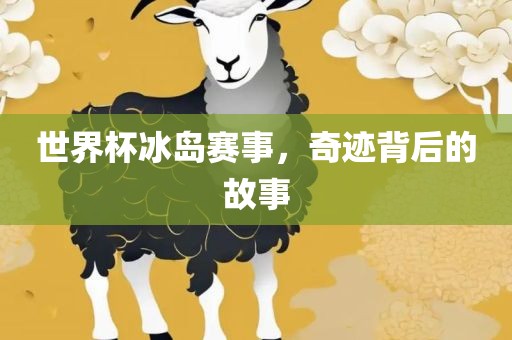 世界杯冰岛赛事眉山市正发家政服务有限公司，奇迹背后的故事