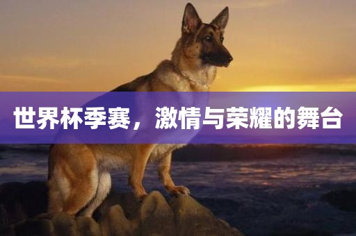 世界杯季赛，激情与荣耀的舞台