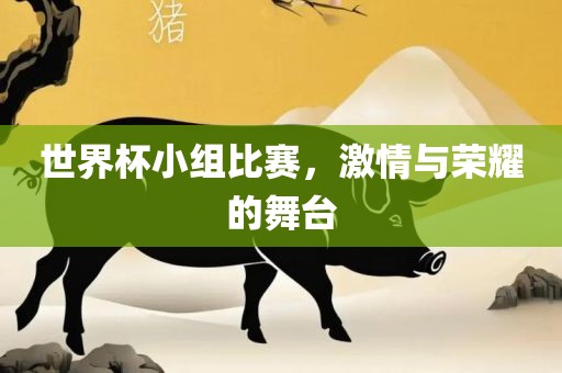 世界杯小组比赛，激情与荣耀的舞台