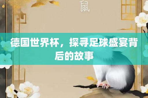 德国世界杯，探寻足球盛宴背后的故事
