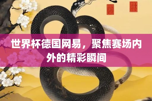世界杯德国网易，聚焦赛场内外的精彩瞬间