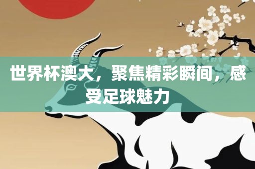世界杯澳大，聚焦精彩瞬间，感受足球魅力