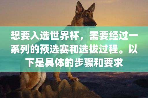 想要入选世界杯，需要经过一系列的预选赛和选拔过程。以下是具体的步骤和要求