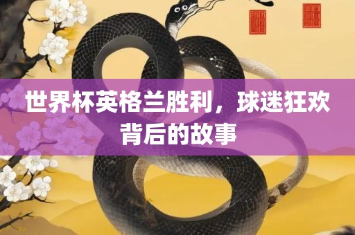 世界杯英格兰胜利，球迷狂欢背后的故事