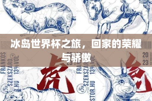 冰岛世界杯之旅，回家的荣耀与骄傲