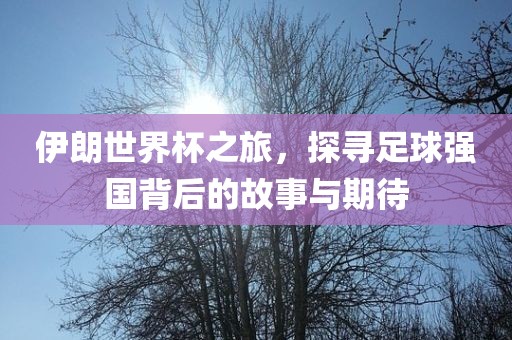 伊朗世界杯之旅，探寻足球强国背后的故事与期待