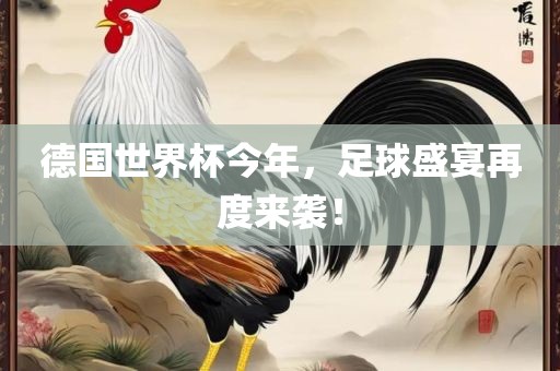 德国世界杯今年，足球盛宴再度来袭！