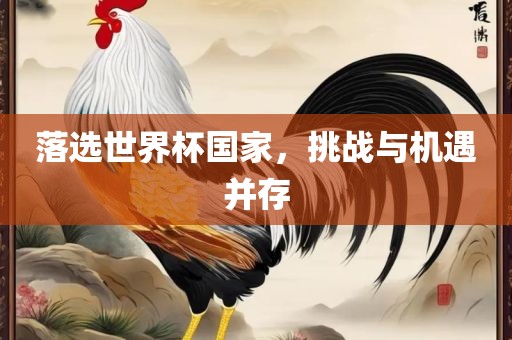 落选世界杯国家，挑战与机遇并存