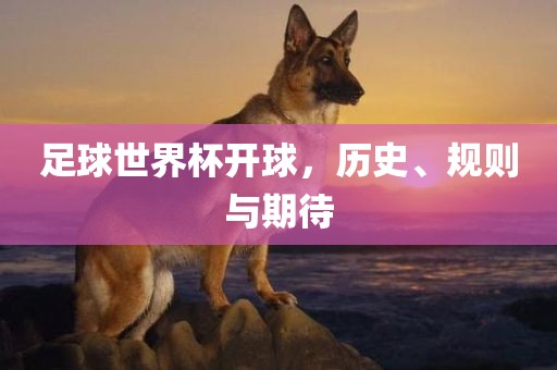 足球世界杯开球，历史、规则与期待