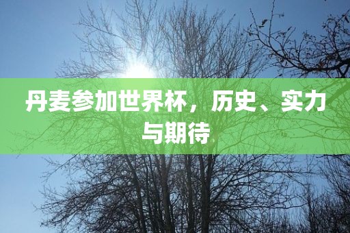 丹麦参加世界杯，历史、实力与期待