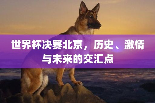 世界杯决赛北京，历史、激情与未来的交汇点
