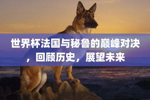 世界杯法国与秘鲁的巅峰对决，回顾历史，展望未来