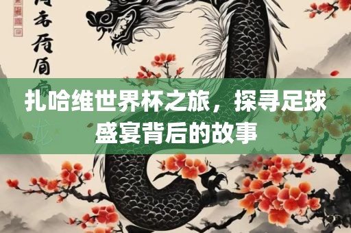 扎哈维世界杯之旅，探寻足球盛宴背后的故事
