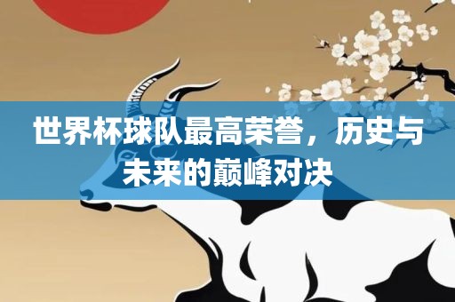 世界杯球队最高荣誉，历史与未来的巅峰对决