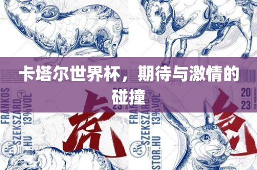卡塔尔世界杯，期待与激情的碰撞