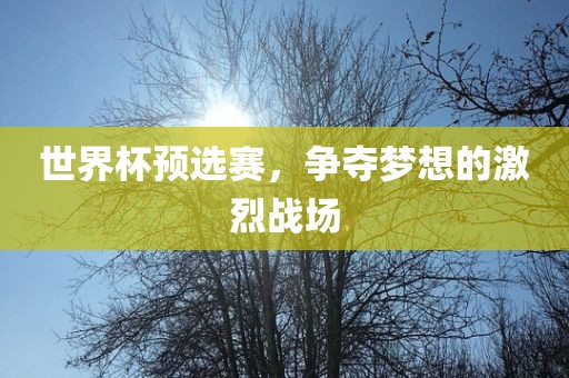 世界杯预选赛，争夺梦想的激烈战场