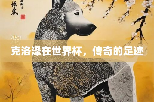 克洛泽在世界杯，传奇的足迹