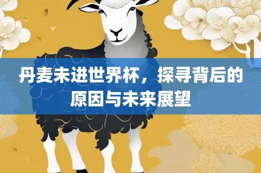 丹麦未进世界杯，探寻背后的原因与未来展望